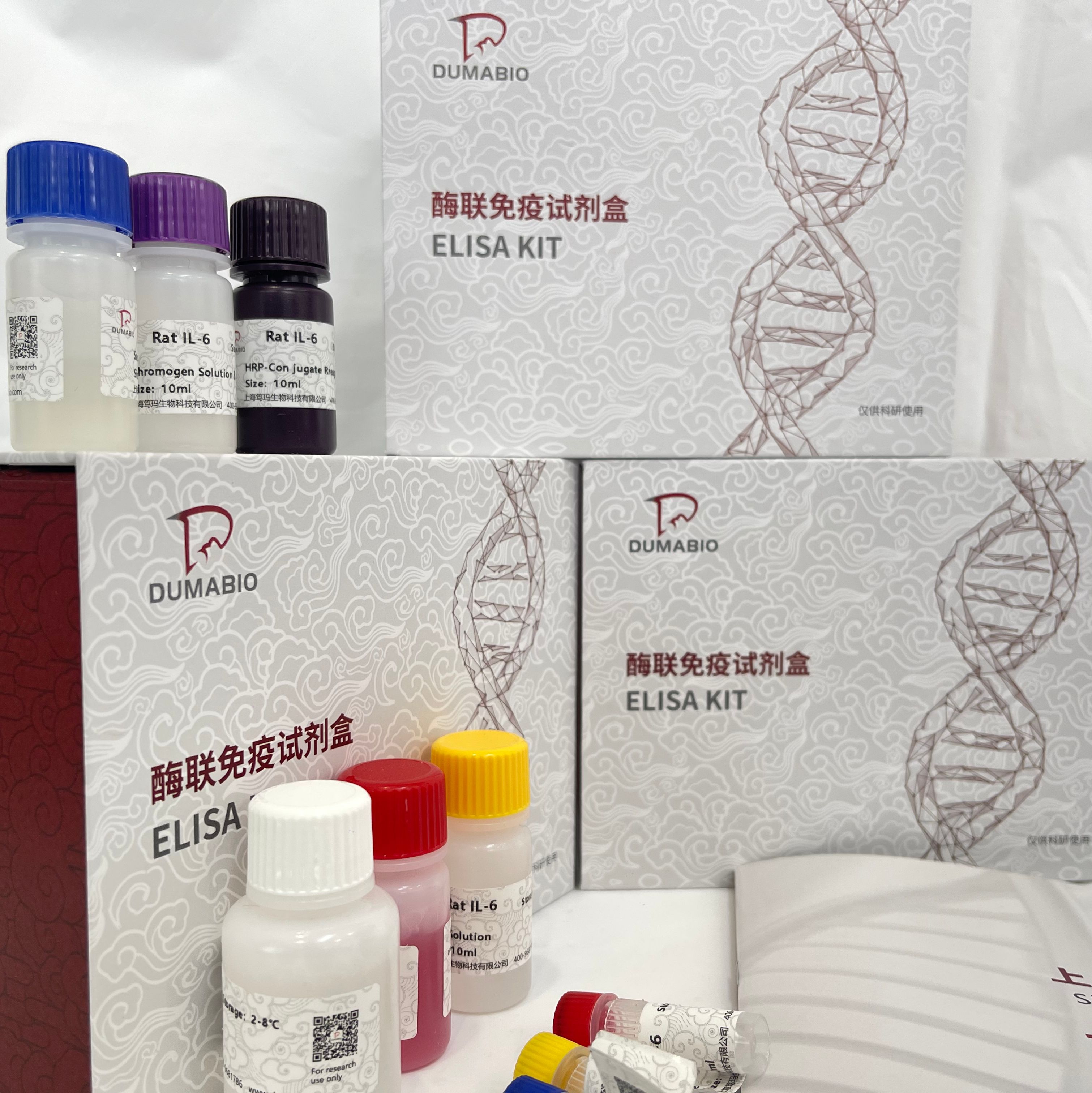 豚鼠(Guinea Pig)C型凝集素结构域家族4成员E(CLEC4E)ELISA检测试剂盒