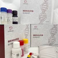 豚鼠(Guinea Pig)免疫球蛋白G Fc段低亲和力受体IIIa(FcγR3A)ELISA检测试剂盒