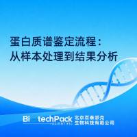 蛋白质谱鉴定流程：从样本处理到结果分析