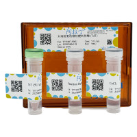 末端脱氧核糖核酸转移酶 (TdT)，EnzymoPure™, 生物活性, ActiBioPure™, 无菌, 无DNA酶和RNA酶, 5.0 U/μL，阿拉丁