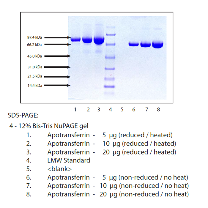 脱铁转铁蛋白 来源于人血浆，11096-37-0，BioReagent,天然,低内毒素,生物工艺级,≥98%(SDS-PAGE),铁含量：