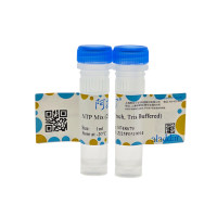 NTP Mix (25mM each, Tris Buffered)，BioReagent, 无DNA酶和RNA酶, PCR试剂, 分子生物学级, 无菌, 用于体外转录, for DNA and RNA applications, ≥99%, 25mM，阿拉丁