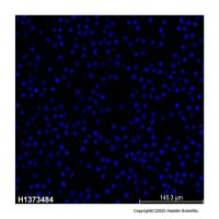 Hoechst 33258 染色液,23491-45-4,BioReagent, 生物染色剂, 生物染料级, 适用于免疫荧光(IF), 适用于荧光分析, 用于细胞培养, 用于显微镜, 即用型, 1.0 mg/mL in H₂O,阿拉丁