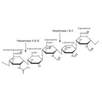 肝素酶 I、II和 III 混合物，重组,EnzymoPure™,expressed in E.coli;≥200 U/mg protein，阿拉丁