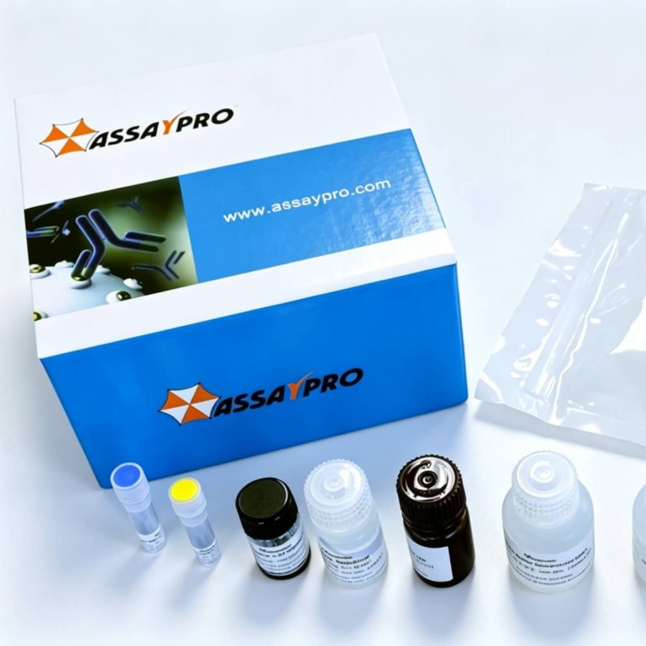 Human Complement C1 AssayMax ELISA Kit