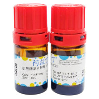 肌酸脒基水解酶(CR),37340-58-2,重组,BioReagent,ActiBioPure™,高性能,EnzymoPure™,≥90%(SDS-PAGE),≥5.8 U/mg enzyme powder,阿拉丁