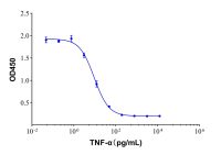 Recombinant Human TNF-alpha Protein，无动物源,无载体,生物活性,ActiBioPure™,高性能,≥95%(SDS-PAGE),见COA，阿拉丁