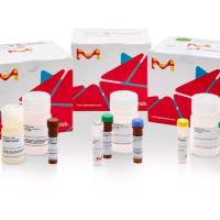 Sigma-Aldrich货号MAK477-1KT钙测定试剂盒(Calcium Assay Kit)上海睿安生物科技有限公司Merck-Millipore-Roche-Sigma官方正式授权代理商19121878899