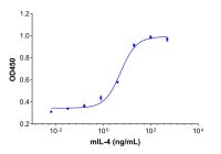 Recombinant Mouse IL-4 Protein，无动物源,无载体,生物活性,ActiBioPure™,高性能,His标签,PBS Only,≥95%(SDS-PAGE)，阿拉丁