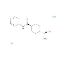 Y-27632 2HCl，129830-38-2，10mM in DMSO，阿拉丁