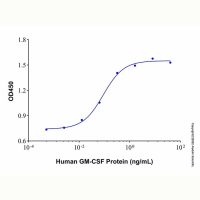 Recombinant Human GM-CSF Protein,无动物源,无载体,生物活性,ActiBioPure™,高性能,PBS Only,≥95%(SDS-PAGE),见COA,阿拉丁