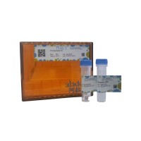 核酸外切酶III,BioReagent, PCR试剂, 用于DNA合成, 分子生物学级, EnzymoPure™, 用于体外转录, for DNA and RNA applications, 100 U/μl,阿拉丁