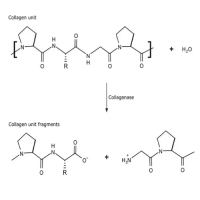 胶原酶 来源于溶组织梭菌，9001-12-1，EnzymoPure™, Type V,≥1 FALGPA units/mg solid, ≥125 CDU/mg solid，阿拉丁