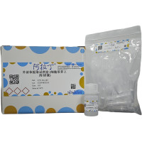 外泌体提取试剂盒 (细胞培养上清/尿液)，BioReagent，阿拉丁