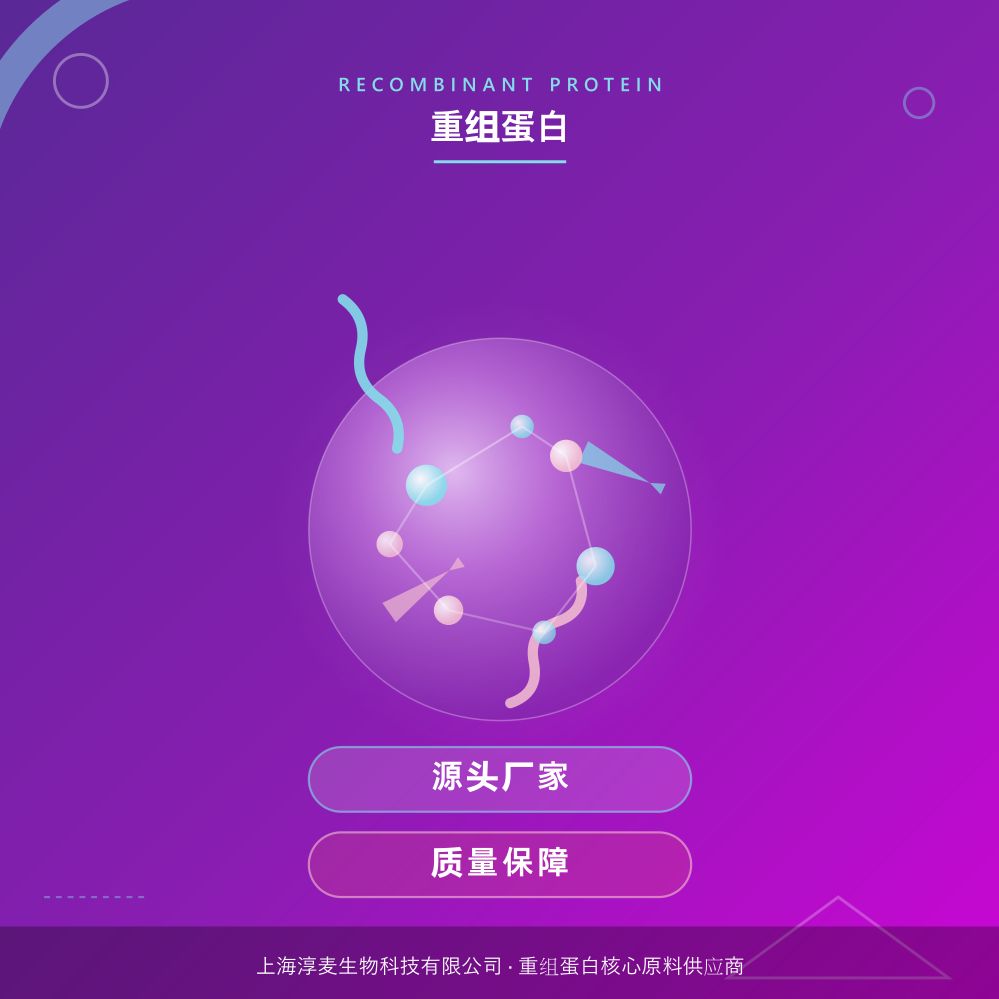 重组人甘氨酰-tRNA合成酶(GARS)（ENZ-717）产品图