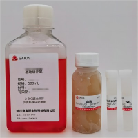 原代内皮细胞培养基(ECM)