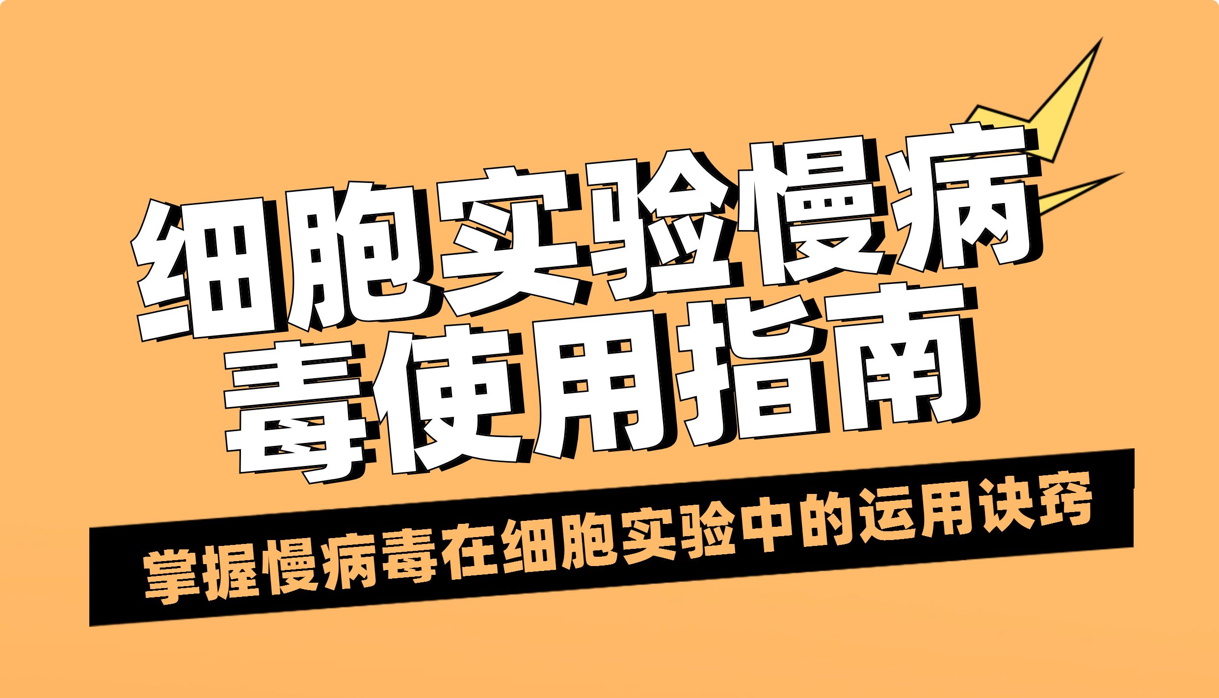 细胞实验中，如何用好慢病毒