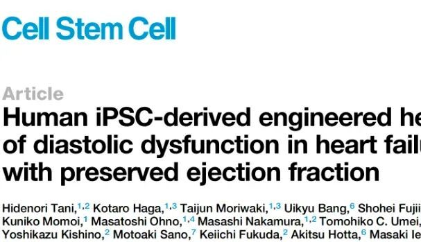 【Cell Stem Cell】人源3D心肌复刻HFpEF病理表型—SGLT2抑制剂验证舒张治疗机制