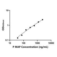 猪主要急性期蛋白(MAP)ELISA试剂盒