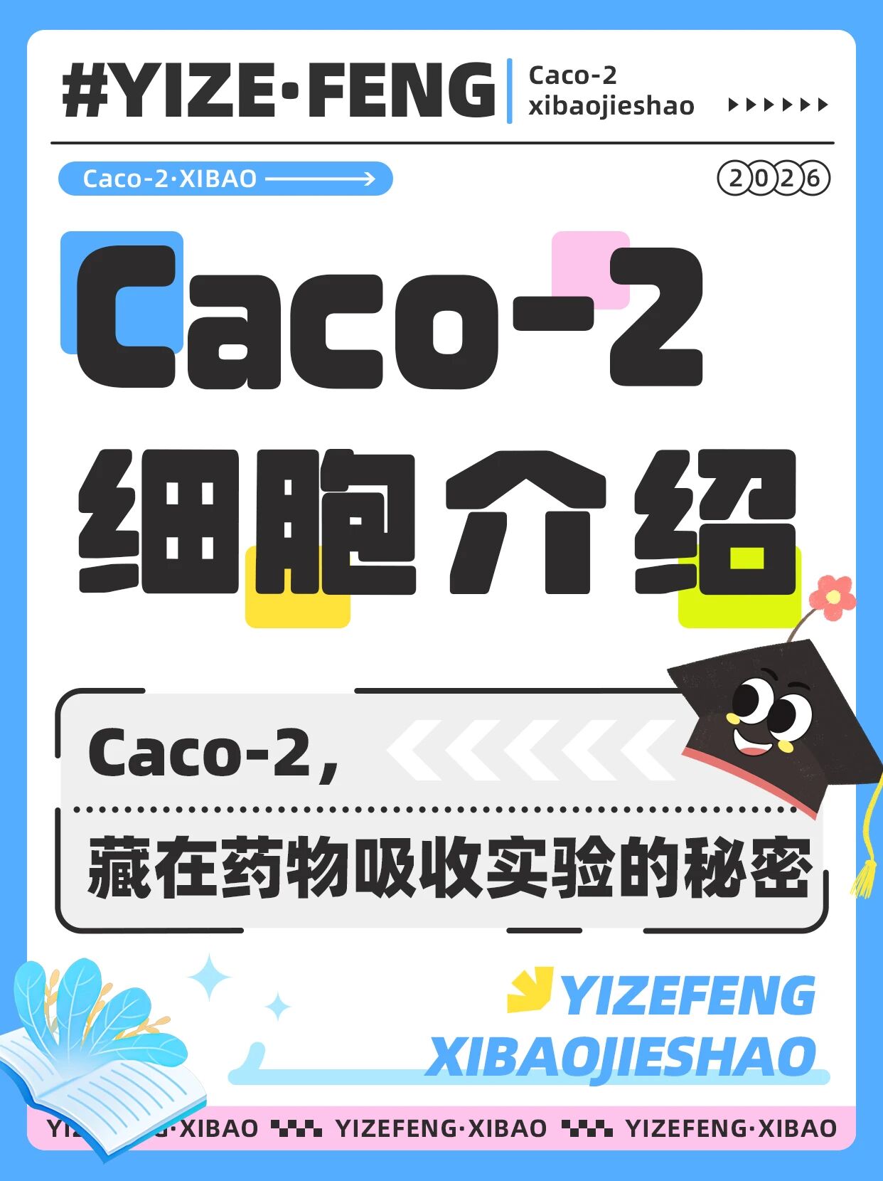 Caco-2：藏在药物吸收实验里的秘密
