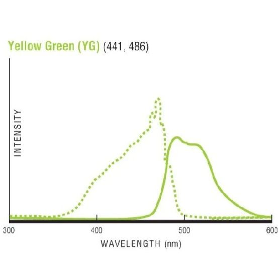1µm黄绿色YG吞噬荧光微球 聚苯乙烯流式吞噬微球