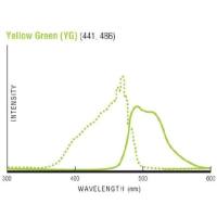 1µm黄绿色YG吞噬荧光微球 聚苯乙烯流式吞噬微球
