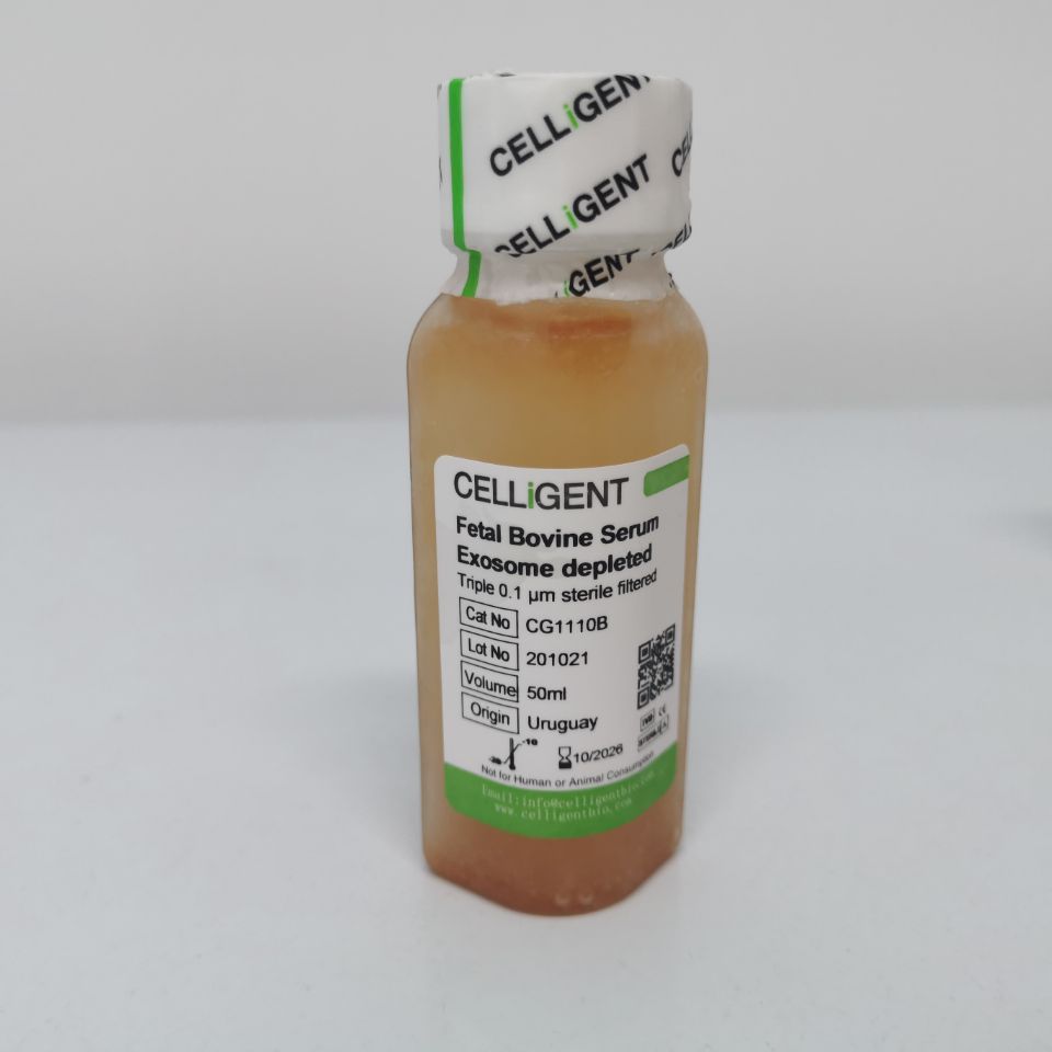 CELLiGENT 无外泌体胎牛血清 CG1110B产品图