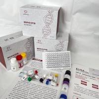 豚鼠(Guinea Pig)神经肽Y受体Y2(NPYR2)ELISA检测试剂盒