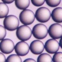 Polybead0.05μm微球 聚苯乙烯单分散蛋白吸附微球