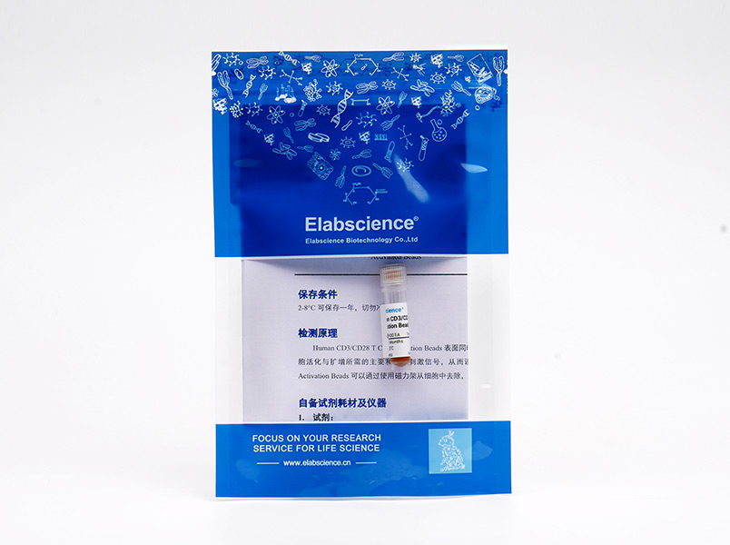 双重信号精准激活：Elabscience人CD3/CD28 T细胞激活磁珠助您高效开展人T细胞体外研究