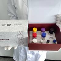 猪(Porcine)胰岛素样生长因子结合蛋白7(IGFBP-7)ELISA检测试剂盒