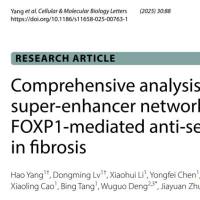 项目文章IF=12.2 | 疤痕疙瘩超级增强子网络分析与转录因子FOXP1调控机制研究