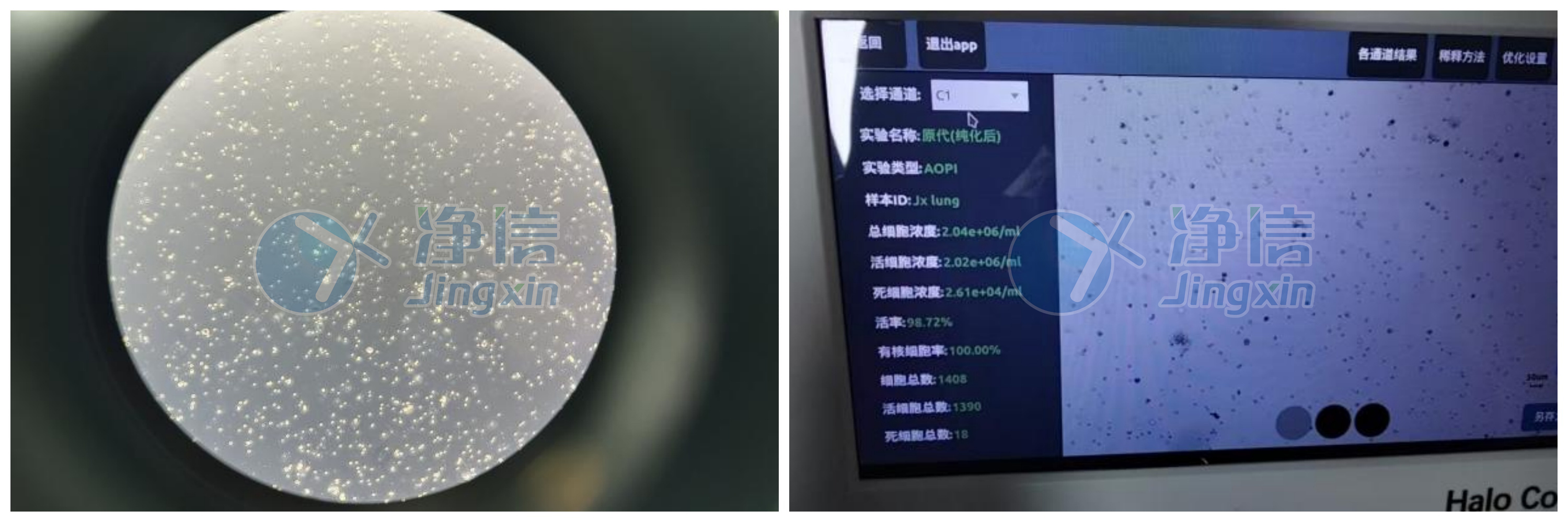 新闻图片4