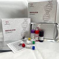 猪(Porcine)胸腺表达趋化因子(TECK/CCL25)ELISA检测试剂盒