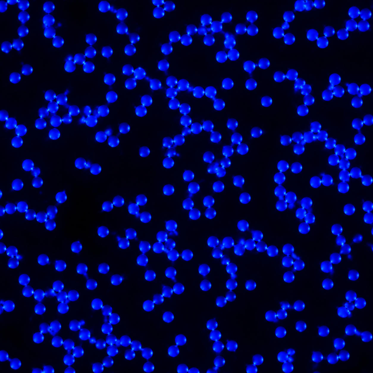 Polysciences BB荧光羧基化微球