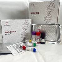 猪（Porcine）白介素12(IL-12)ELISA检测试剂盒