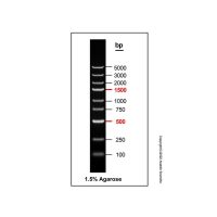 DNA Ladder (100-5000bp),BioReagent, 即用型, 适用于电泳, 分子生物学级, 用于核酸电泳, 100-5000bp, 9 bands, Blue, 100bp/ 250bp/ 500bp/ 750bp/ 1000bp/ 1500bp/ 2000bp/ 3000bp/ 5000bp,阿拉丁