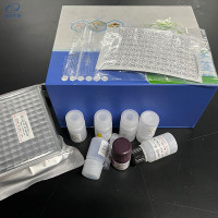 Spotted Knifejaw Iridovirus(SKIV)斑石鲷虹彩病毒PCR试剂盒费用