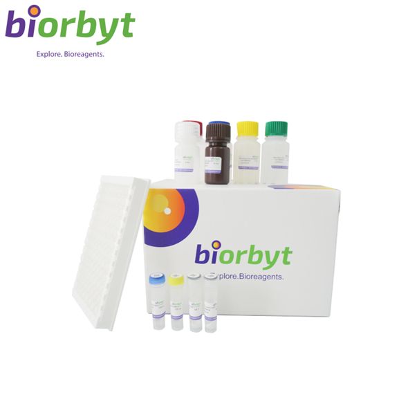 Mouse Trefoil Factor 3 ELISA Kit 酶联免疫试剂盒,orb1473336,Biorbyt产品图