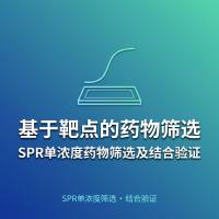基于靶点的药物筛选：SPR单浓度药物筛选及结合验证
