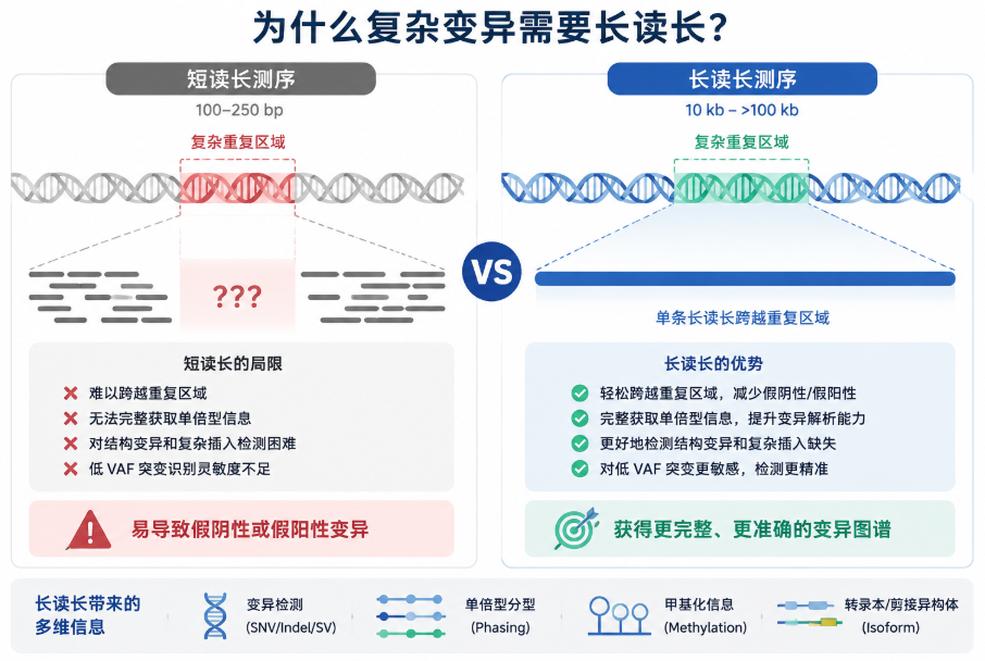 短读长测不全的变异，长读长怎么精准抓？一文看懂Clair系列工具选择