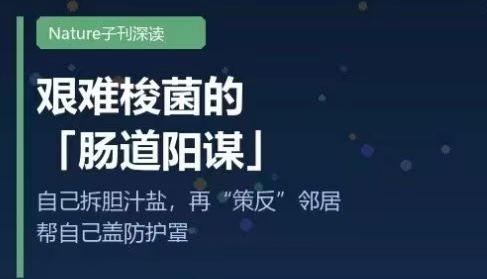 艰难梭菌的“肠道阳谋”自己拆胆汁盐，再“策反”邻居帮自己盖防护罩