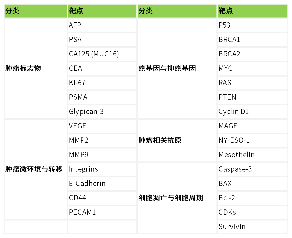 新闻图片2
