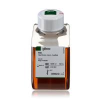 Gibco货号10099141澳洲胎牛血清19121878899上海睿安生物