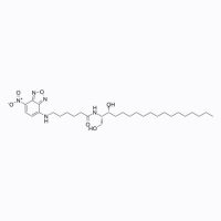 C6-NBD二氢神经酰胺,114301-97-2,BioReagent, 生物染色剂, 适用于荧光分析, 用于显微镜, ≥97%,阿拉丁