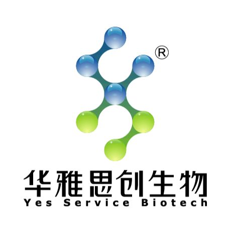 MojoSort™ Magnet 14mL 磁分选磁力架 离心管细胞分离磁架