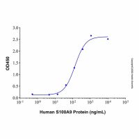 Recombinant Human S100A9 Protein,无载体,生物活性,ActiBioPure™,His标签,≥95%(SDS-PAGE),阿拉丁