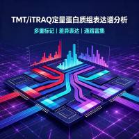 TMT/iTRAQ定量蛋白质组表达谱分析