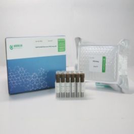 人脂代谢信号通路PCR阵列试剂盒