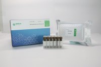 人脂代谢信号通路PCR阵列试剂盒